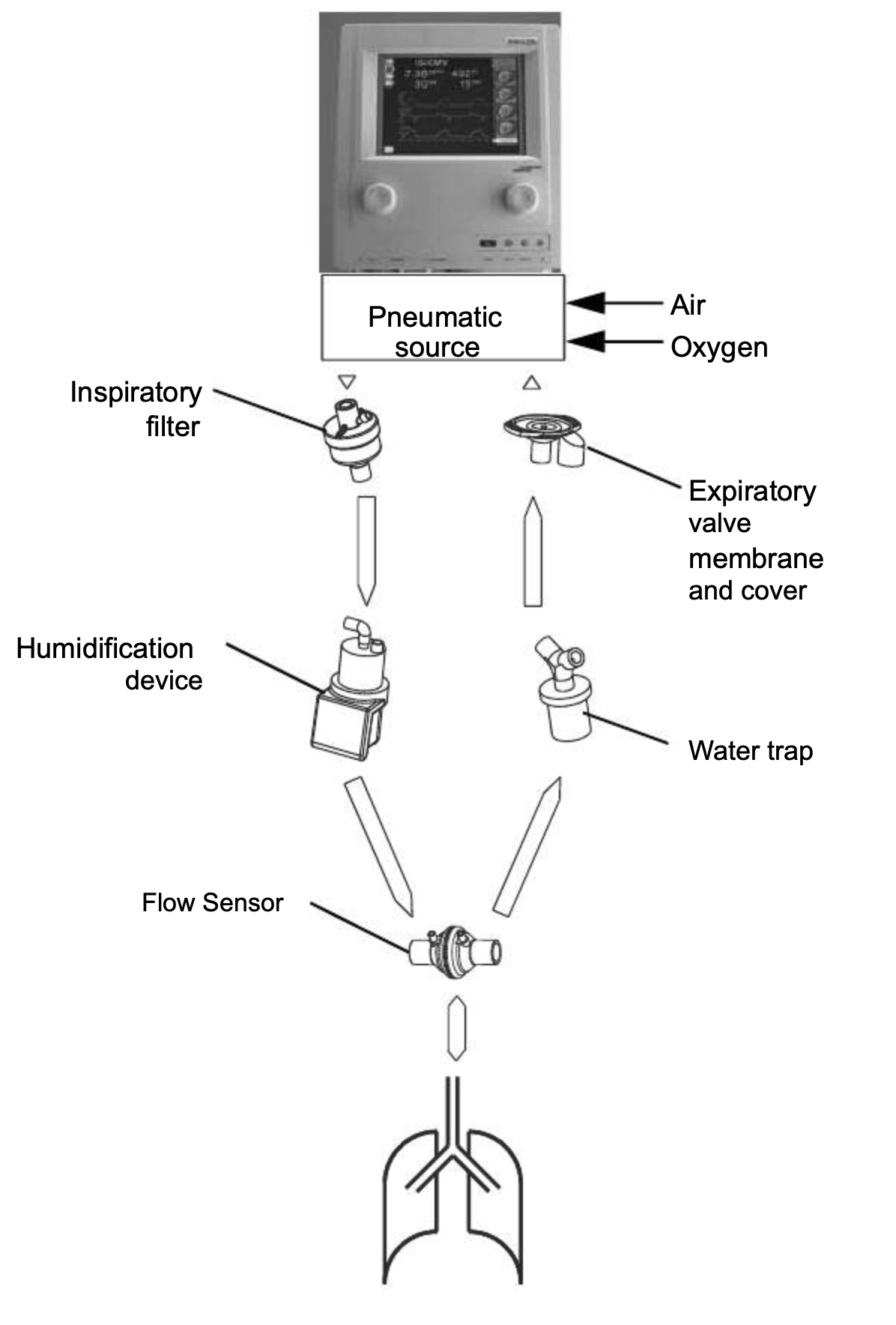 Diagram showing components of the mechanical ventilator.
