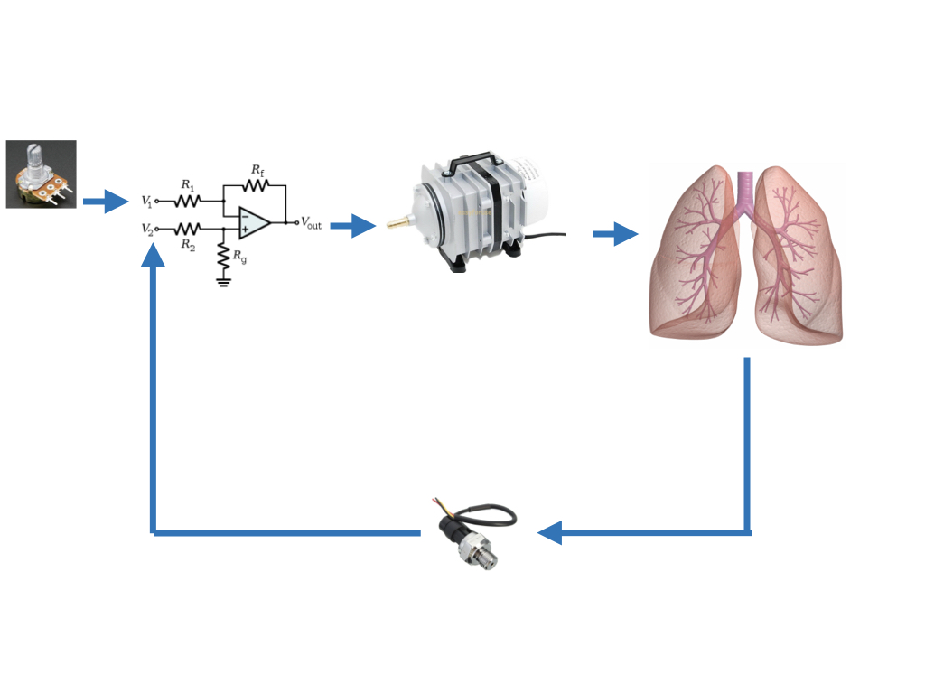 Flow diagram of a mechanical ventilator control system.